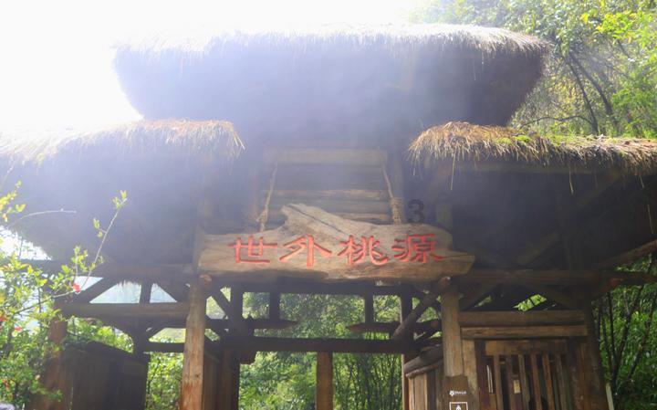 探索知识星球平台,加入我该如何帮助孩子,拓展你的学习之旅