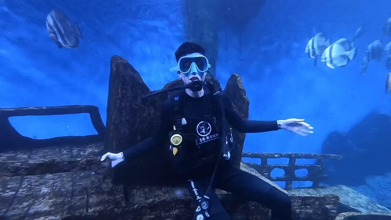 沪江开心词场